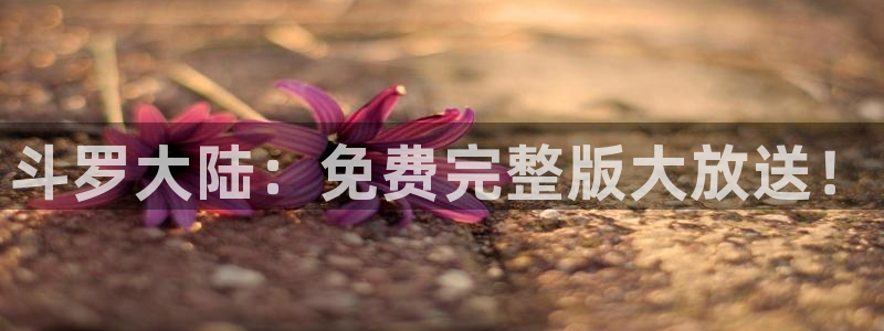 少儿免费动画片