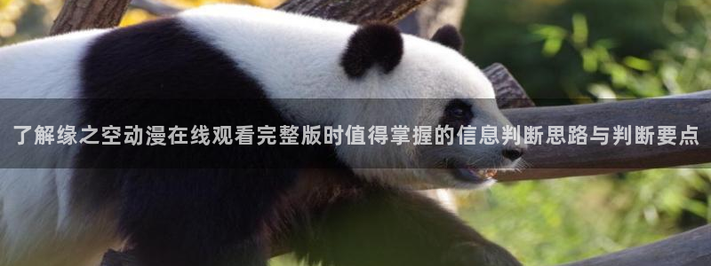 动漫18涩涩动漫人物