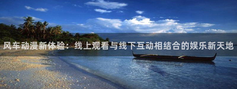 jojo的奇妙冒险动漫：风车动漫新体验：线上观看与线下互动相结合的娱乐新天地